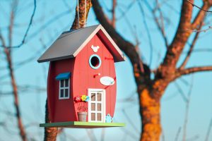 birdhouse, birds, tree