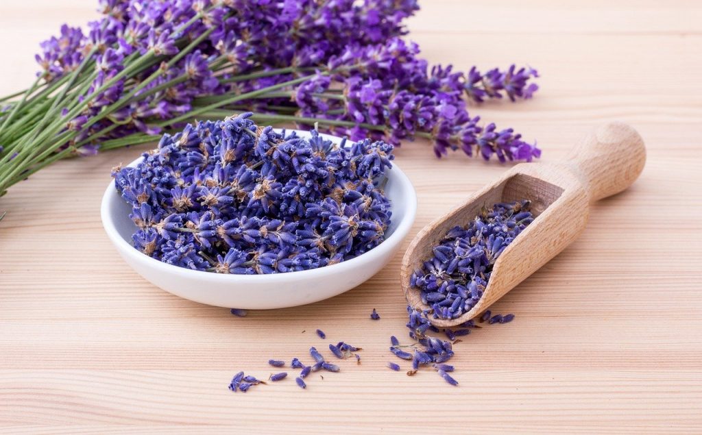 lavender, herbs, flowers