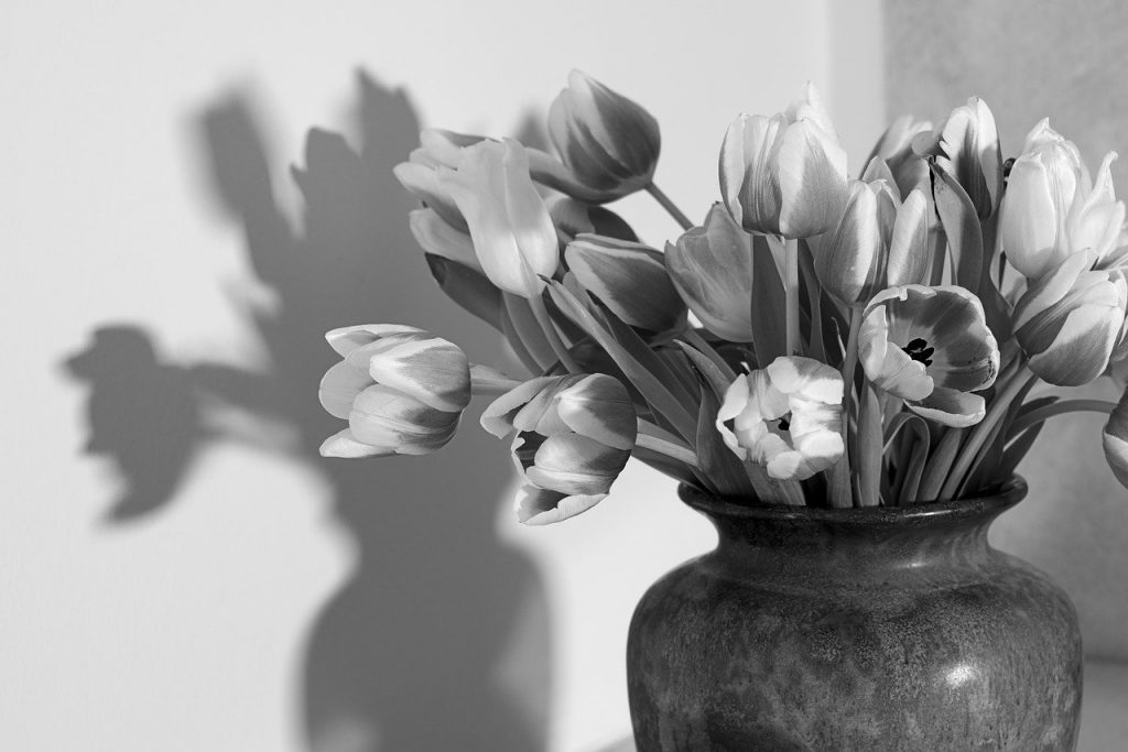 tulips, flower vase, black and white